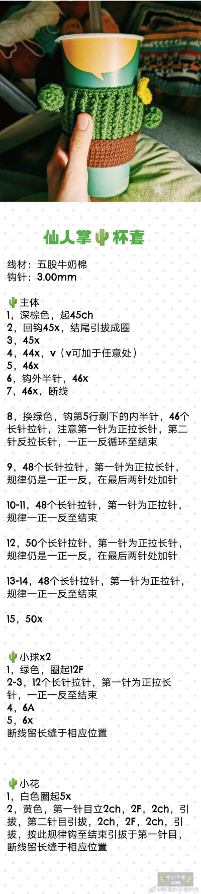 仙人掌水杯套图解