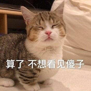 表情包