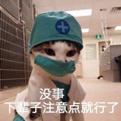 表情包