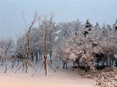 刘勇良数码艺术摄影：北京2020年第一场雪