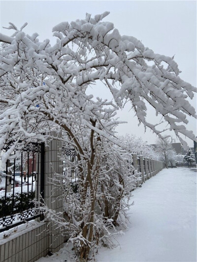 刘勇良数码艺术摄影：北京2020年第一场雪