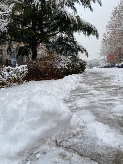 刘勇良数码艺术摄影：北京2020年第一场雪