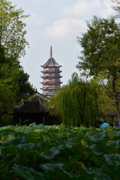 苏州 报恩寺塔