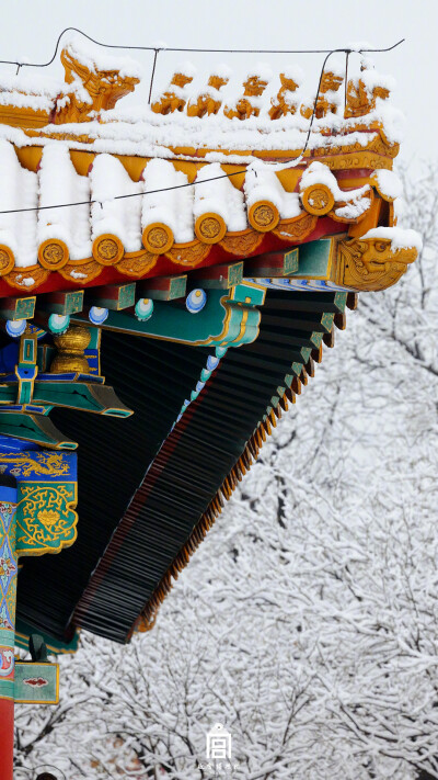 紫禁城【己亥•腊月雪】“看江山银装素裹，琼楼无限佳景，都道胜前年” 照片取自@故宫博物院