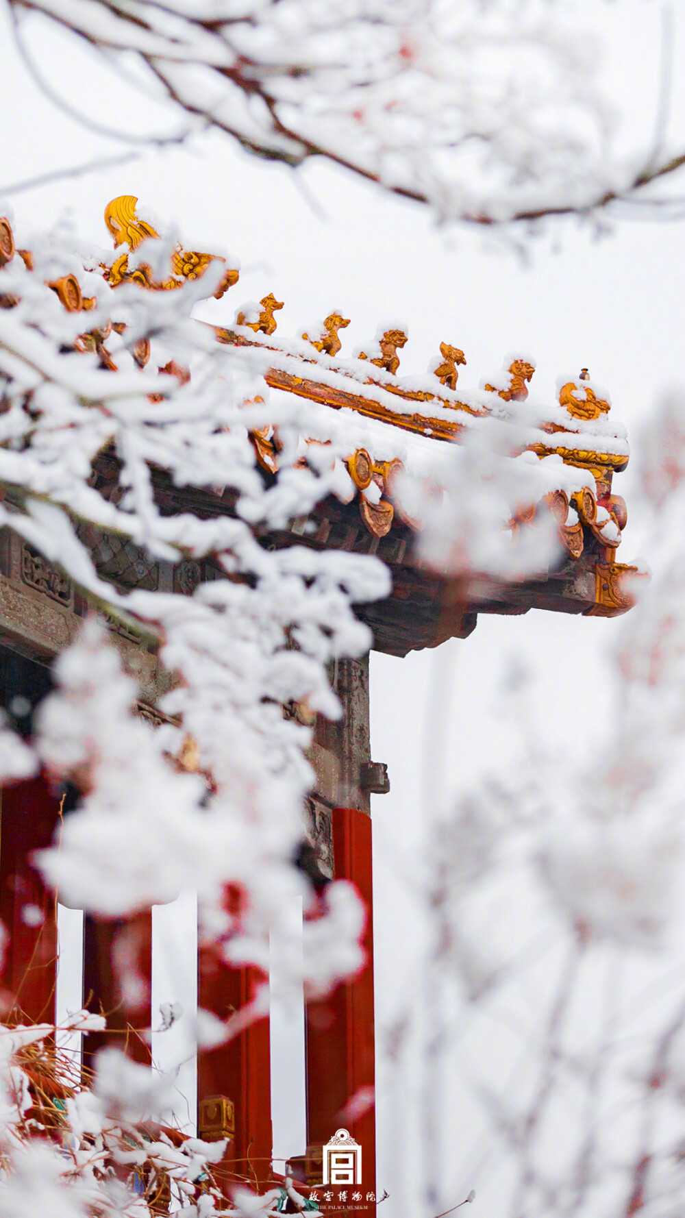 紫禁城【己亥•腊月雪】“雪浪翻金屋，身在玉壶间” 照片取自@故宫博物院