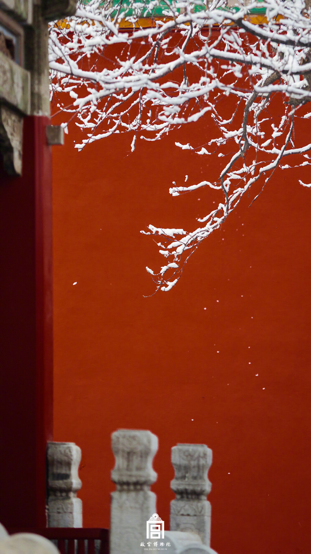 紫禁城【己亥•腊月雪】“枝袅一痕雪在，瘦肌犹怯冰绡” 照片取自@故宫博物院