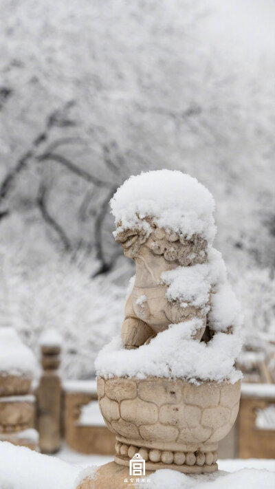 紫禁城【己亥•腊月雪】“无人开口不言利，只我白头空爱吟。此中一日过一日，有底闲愁得到心” 照片取自@故宫博物院