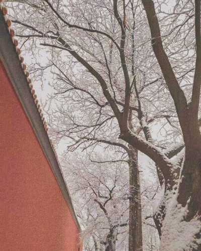 雪