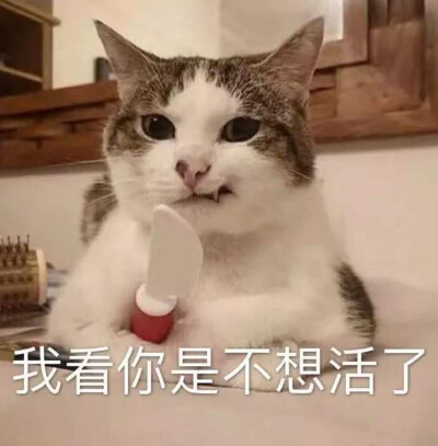 我看你是不想活了