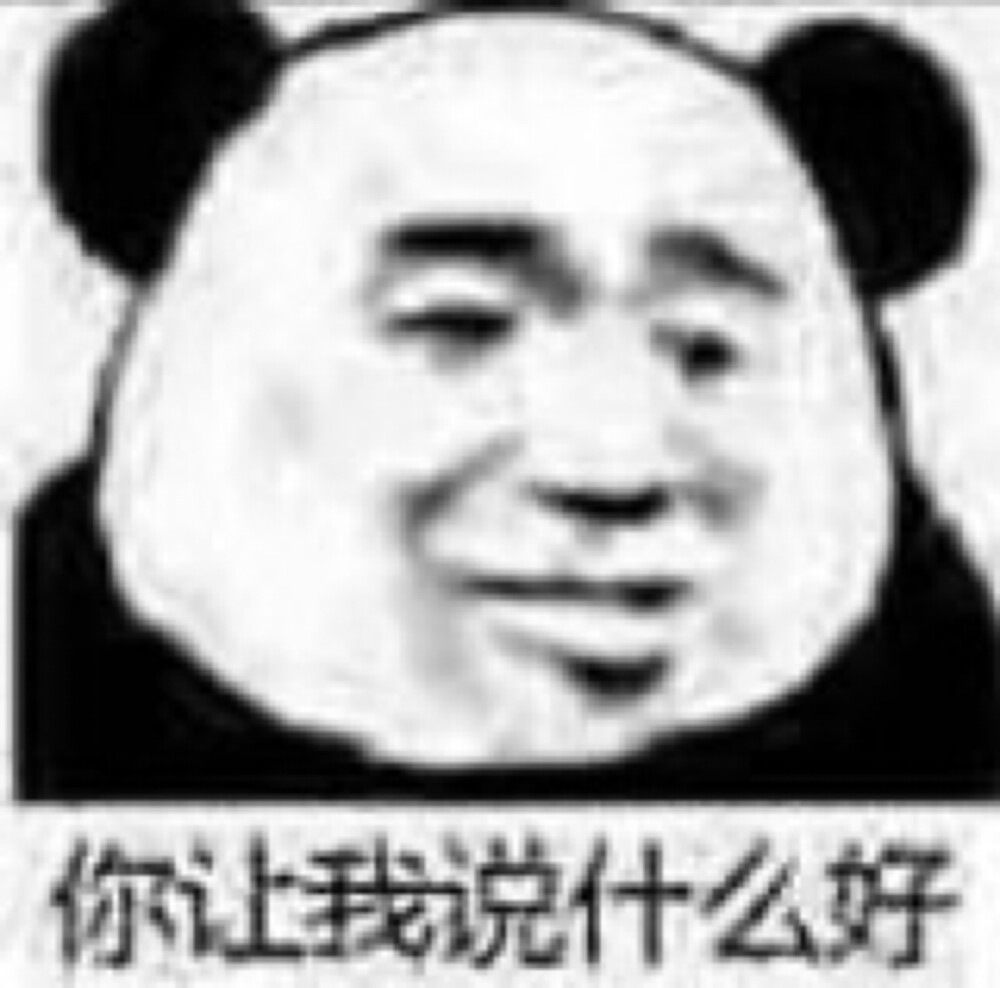 你让我说什么好