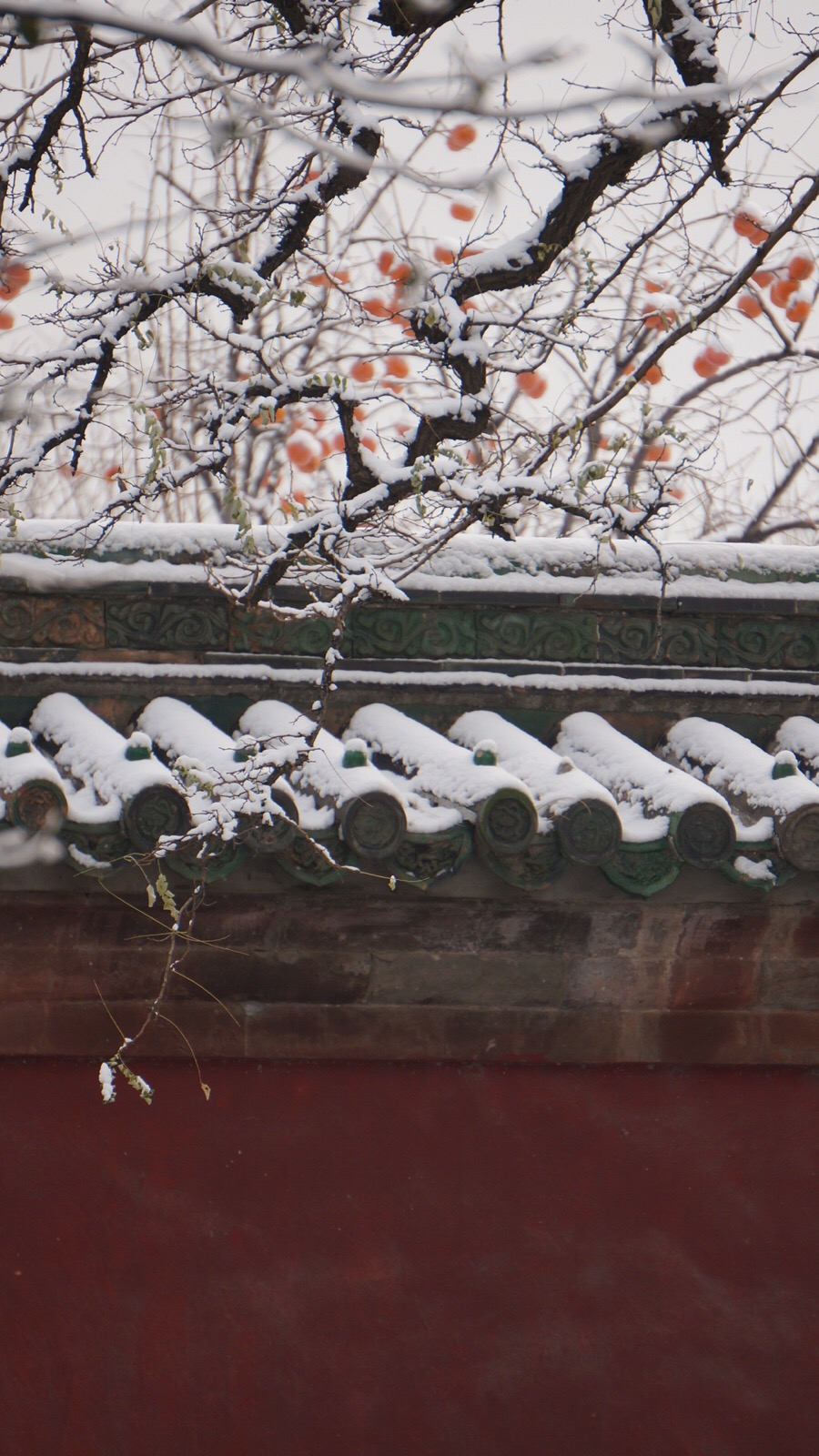 雪后的地坛公园～