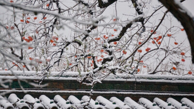 雪后的地坛公园～