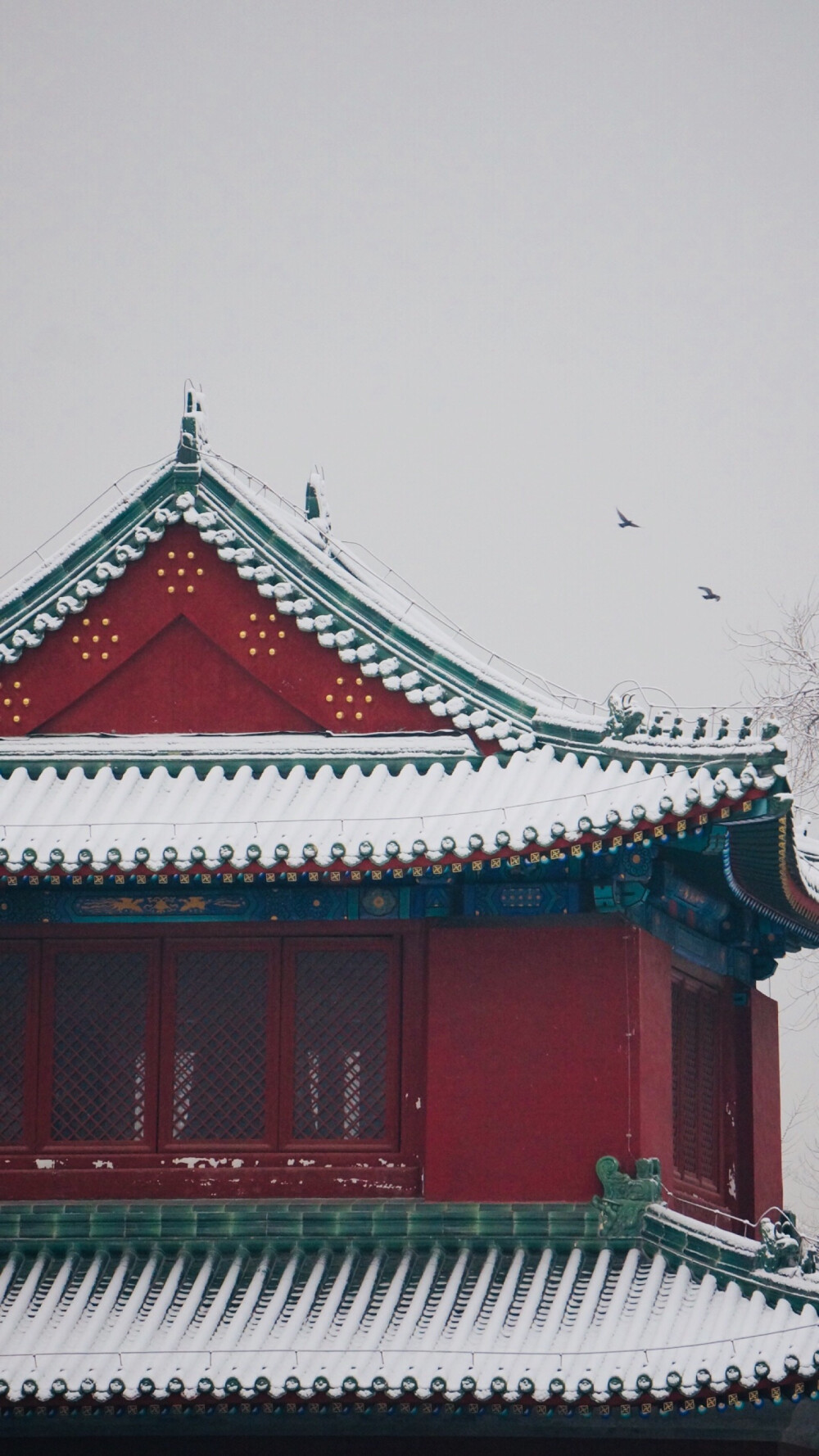 雪后的地坛公园～