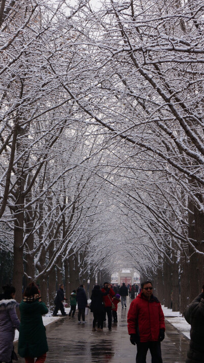 雪后的地坛公园～