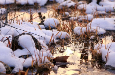 岸明残雪在，潮满夕阳多。