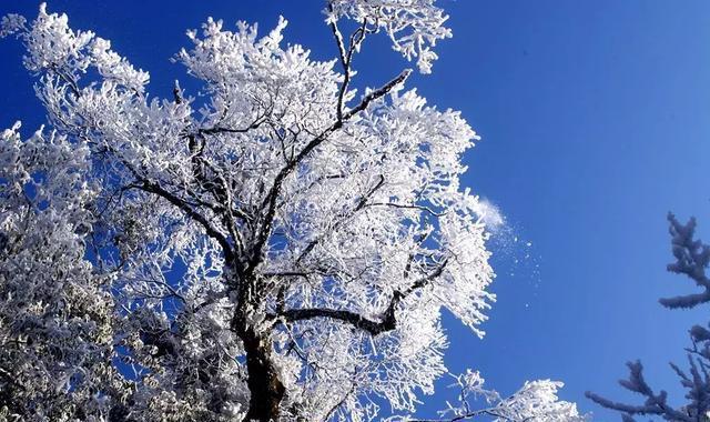 不知庭霰今朝落，疑是林花昨夜开。说说你最喜欢的“雪”诗是那一句？#大中国的绝美雪景# #边吃火锅边赏雪景#