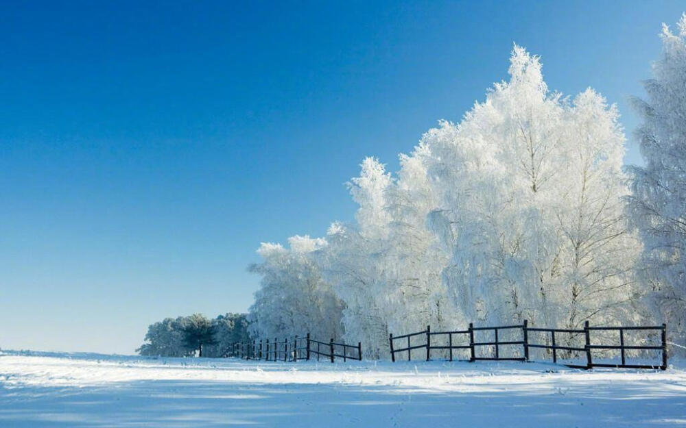 不知庭霰今朝落，疑是林花昨夜开。说说你最喜欢的“雪”诗是那一句？#大中国的绝美雪景# #边吃火锅边赏雪景#