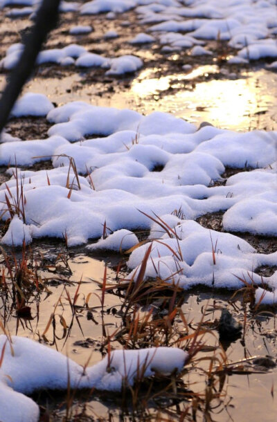 岸明残雪在，潮满夕阳多。