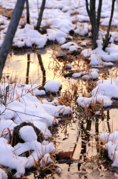 岸明残雪在，潮满夕阳多。