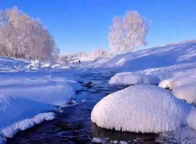 不知庭霰今朝落，疑是林花昨夜开。说说你最喜欢的“雪”诗是那一句？#大中国的绝美雪景# #边吃火锅边赏雪景#