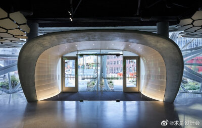 亚马逊总部Understory展厅，西雅图 / Graham Baba Architects。#求是爱设计#