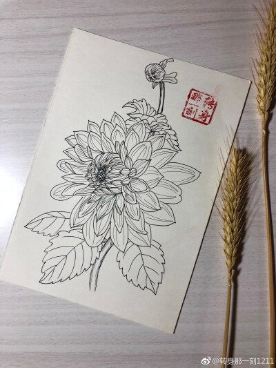 一个九格黑白花卉~ （作者： 转身那一刻1211 ）