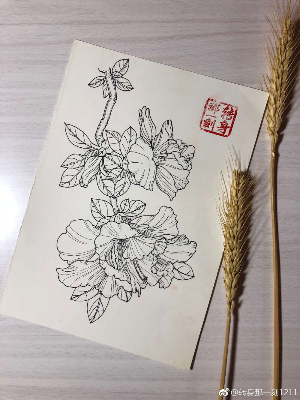 一个九格黑白花卉~ （作者： 转身那一刻1211 ）