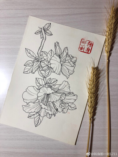 一个九格黑白花卉~ （作者： 转身那一刻1211 ）