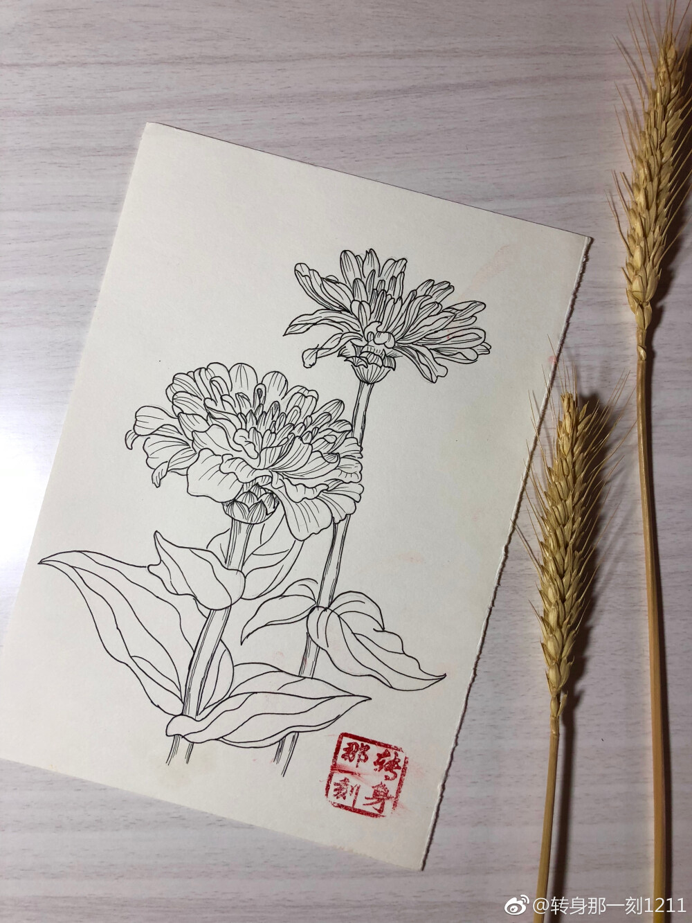 一个九格黑白花卉~ （作者： 转身那一刻1211 ）