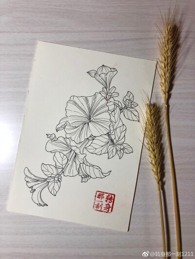 一个九格黑白花卉~ （作者： 转身那一刻1211 ）