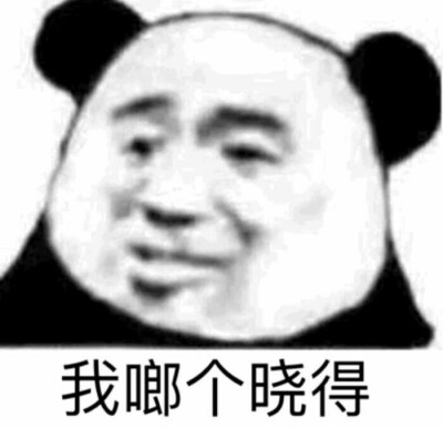 表情包