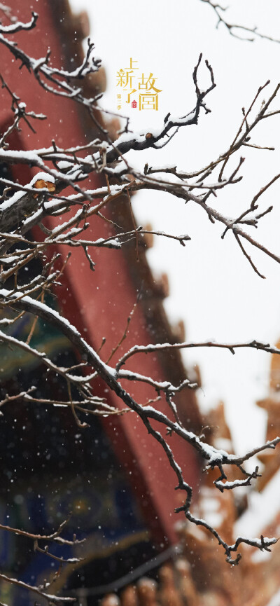 瑞雪兆丰年