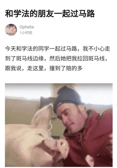 搞笑图片