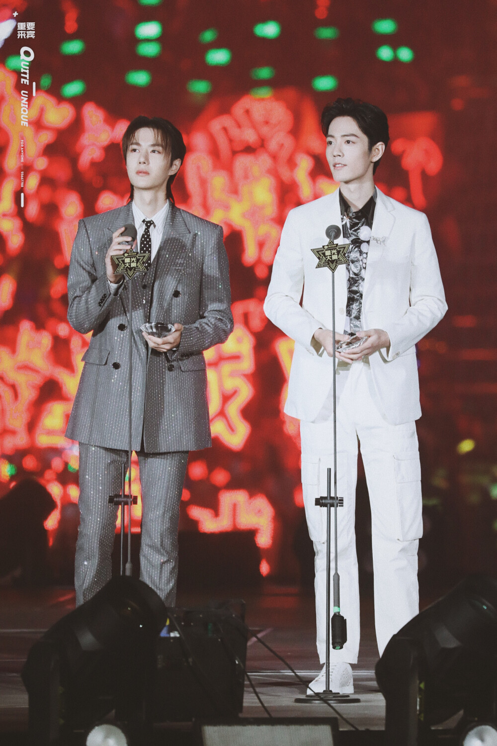 肖战 王一博 星光大赏