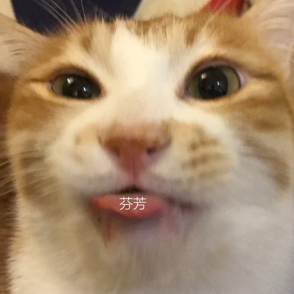 芬芳