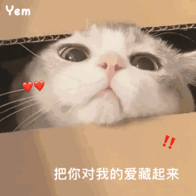 群里存的