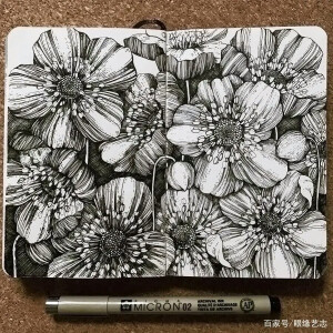 线描画