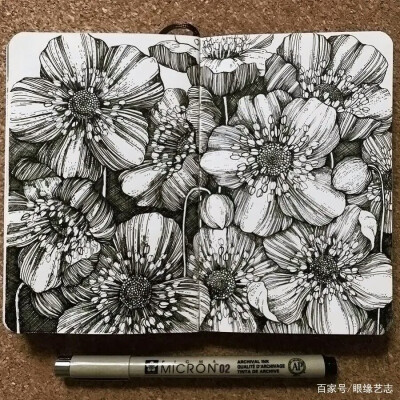 线描画