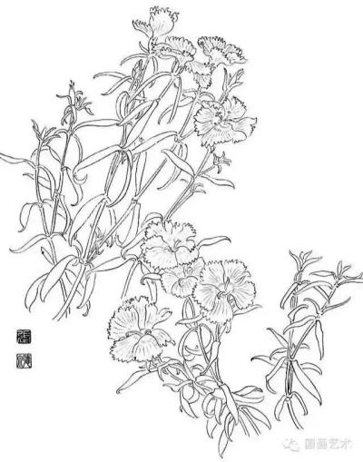 白描花草