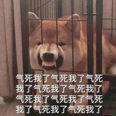 搞怪表情