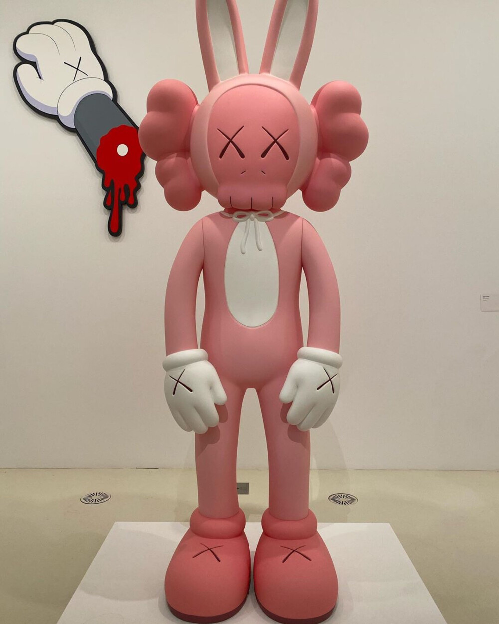 kaws