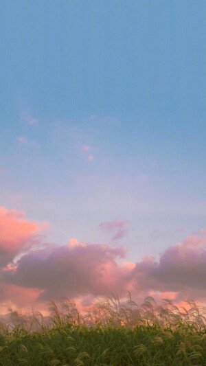 壁纸
