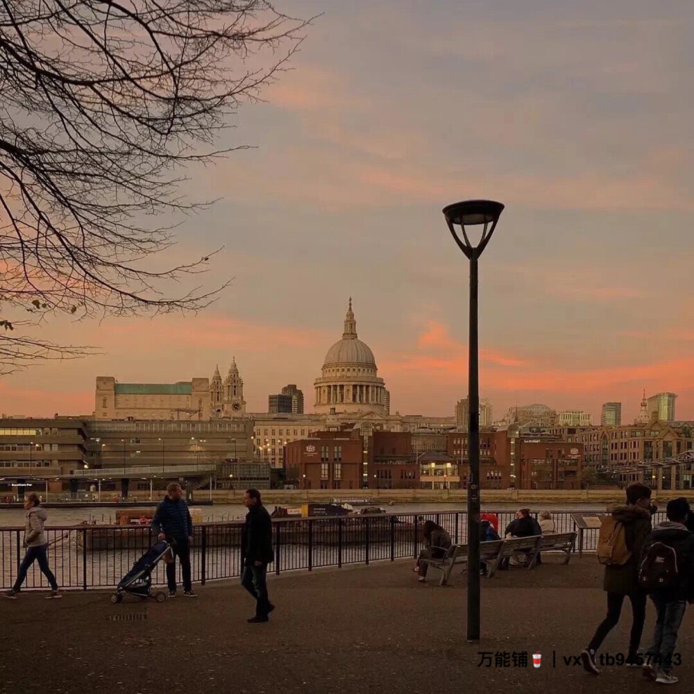 一定要爱这点什么 恰似草木对光阴的钟情.