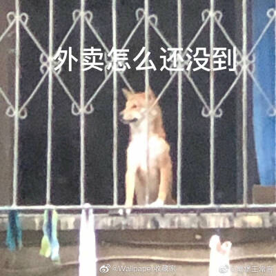 外卖