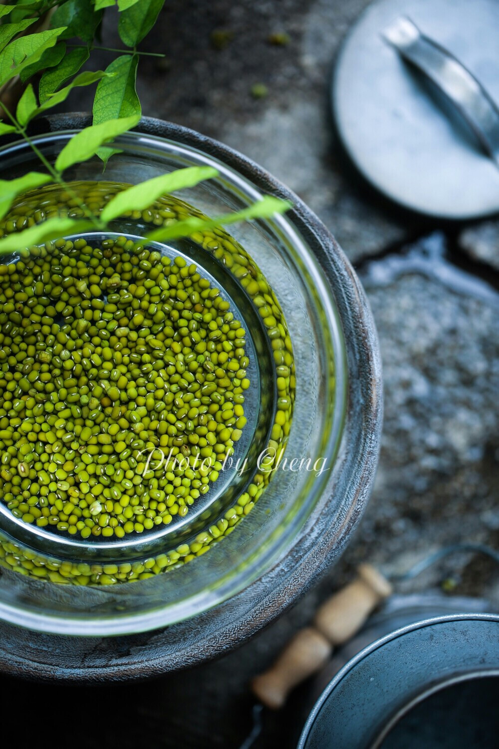 食物素材