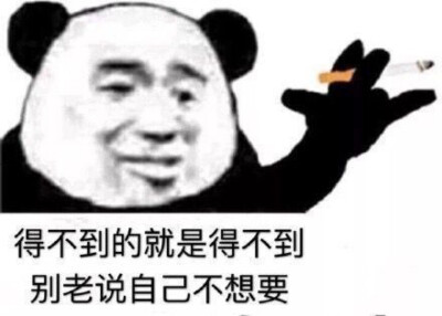 熊猫表情包
