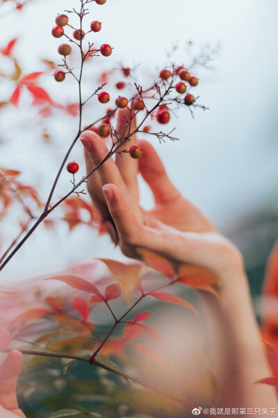 #影像与诗#
「 石榴」
眉黛夺将萱草色
红裙妒杀石榴花
摄影/妆造/后期：@我就是那第三只兔子
出镜：@msn雨啨
服装：上衣@帝尧汉服 下裙@逸仙居传统服饰
#长沙约拍##汉服##用相机…