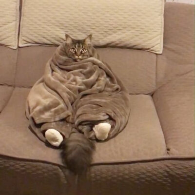 ┏ ┯ ┯┯ ┯┯ ┓
裹紧我的小被子
┗ ┷ ┷┷ ┷┷ ┛