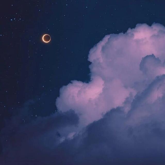 天气真好，希望你也是