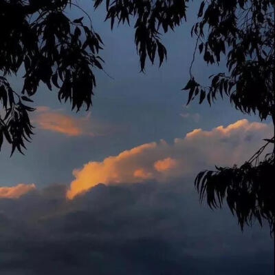 天气真好，希望你也是